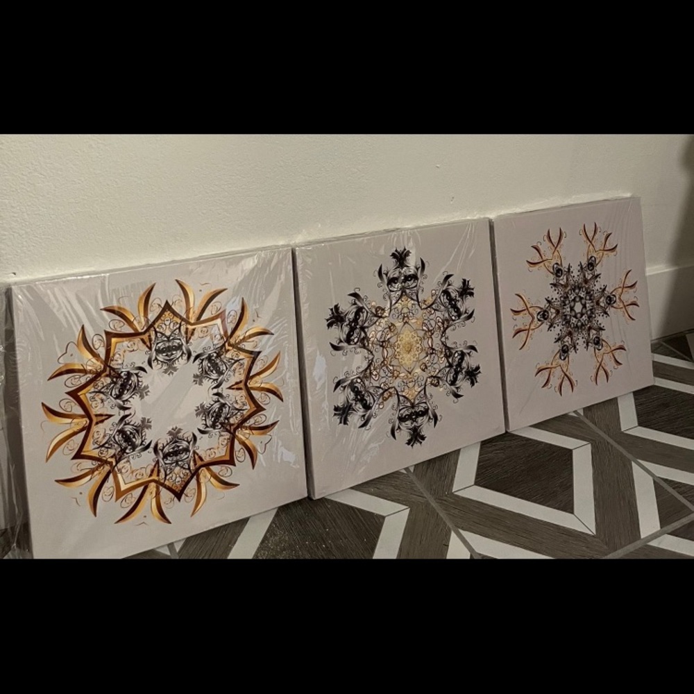Brand New 3 Piece Framed Canvas
